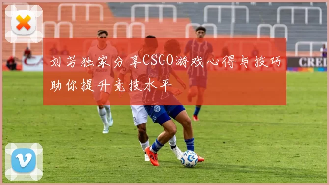 刘芳独家分享CSGO游戏心得与技巧助你提升竞技水平