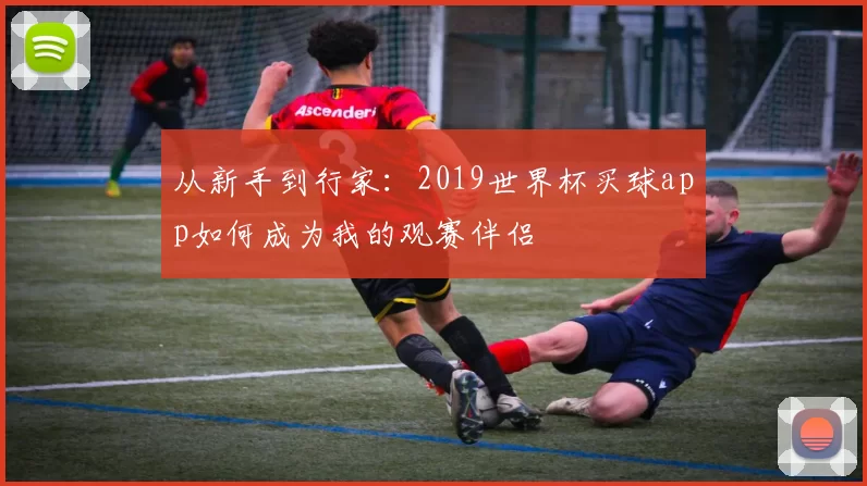 从新手到行家：2019世界杯买球app如何成为我的观赛伴侣