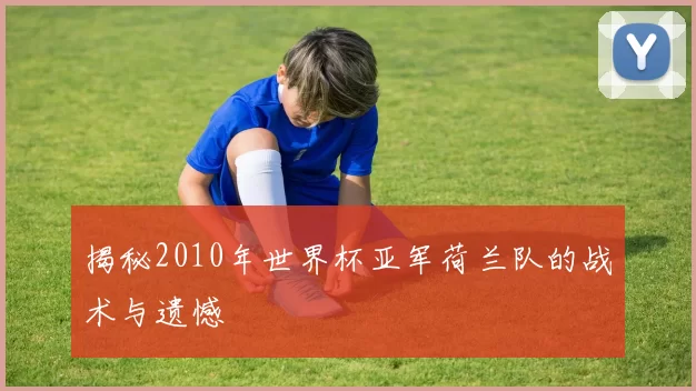 揭秘2010年世界杯亚军荷兰队的战术与遗憾