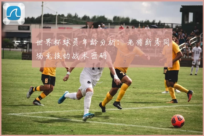 世界杯球员年龄分析:老将新秀同场竞技的战术密码