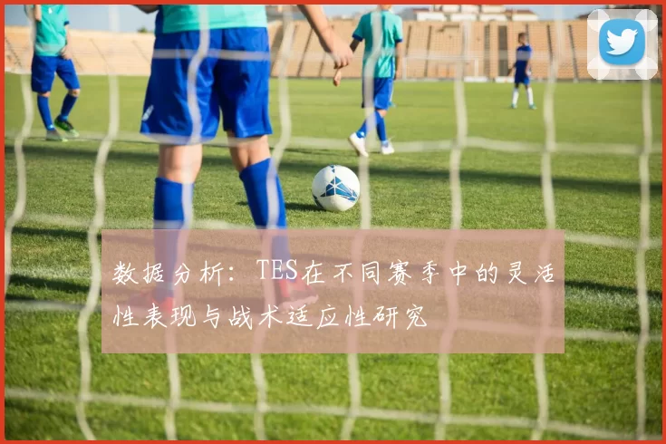 数据分析:TES在不同赛季中的灵活性表现与战术适应性研究