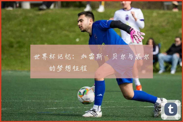 世界杯记忆:加雷斯·贝尔与威尔士的梦想征程