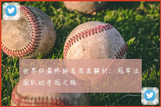 世界杯最终排名深度解析：冠军法国队的夺冠之路