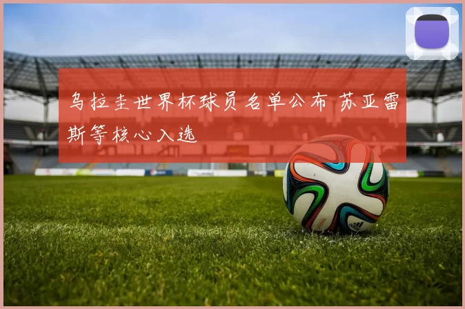 乌拉圭世界杯球员名单公布 苏亚雷斯等核心入选