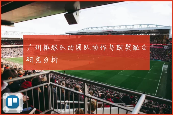 广州排球队的团队协作与默契配合研究分析
