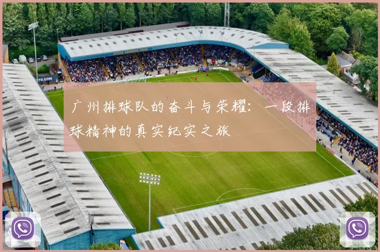 广州排球队的奋斗与荣耀：一段排球精神的真实纪实之旅