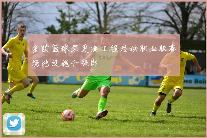 金陵篮球架更换工程启动职业联赛场地设施升级即