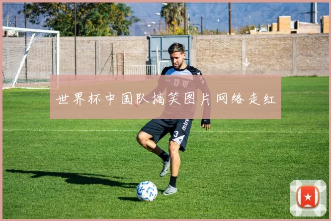 世界杯中国队搞笑图片网络走红